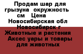 Продам шар для грызуна, окружность 56 см › Цена ­ 250 - Новосибирская обл., Новосибирск г. Животные и растения » Аксесcуары и товары для животных   